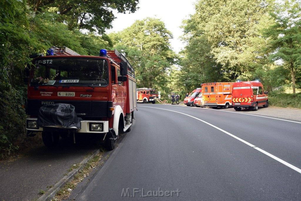 Waldbrand Koeln Hoehenhaus Hoehenfelder Mauspfad P213.JPG - Miklos Laubert